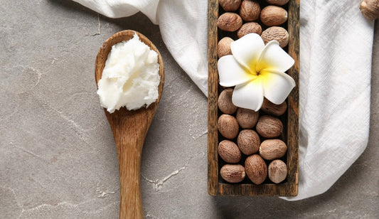 The Story Behind Our Shea Butter: Why Fair Trade Shea Butter Matters