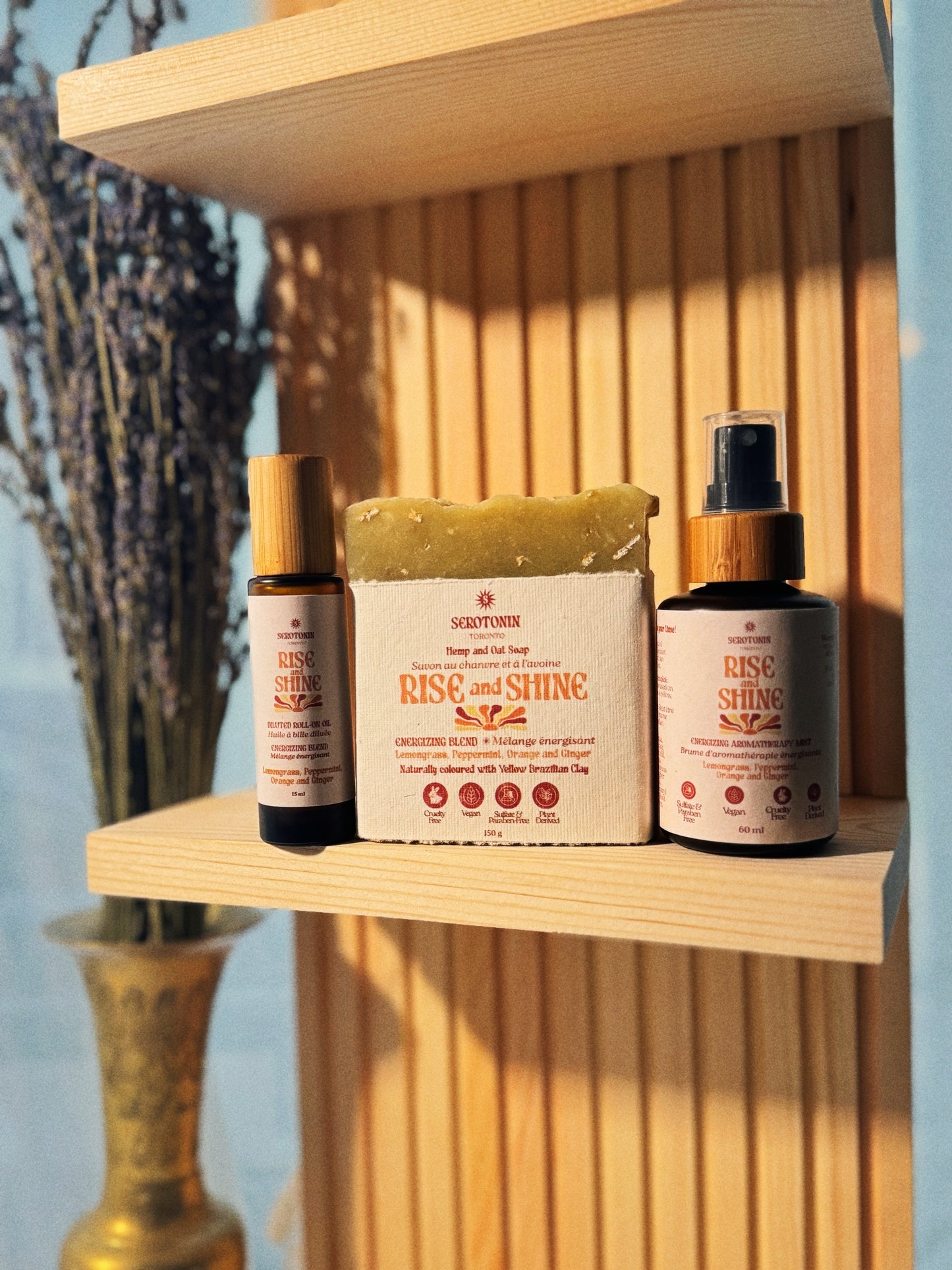 The Energy Reset Kit