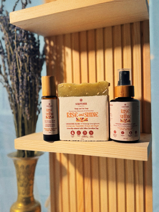 The Energy Reset Kit